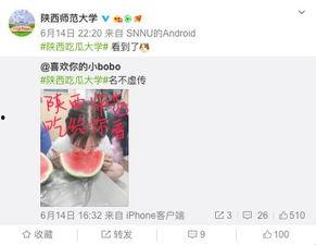 娱乐吃瓜酱考大学,娱乐吃瓜酱带你领略大学生活的多彩画卷